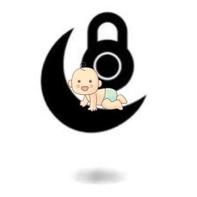 BSafemoonv2's profile picture. Bany SafeMoonV2 is the next evolution!