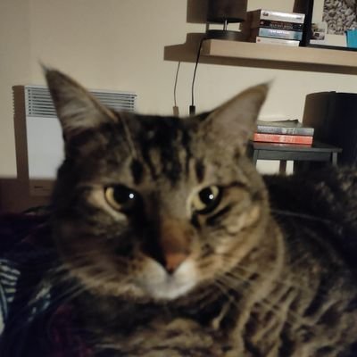 GrdnMargaux's profile picture. 