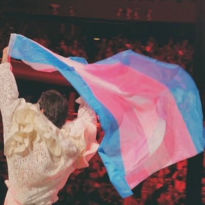 account dedicated for trans, non-binary and genderfluid harries. harry is so proud of you :)