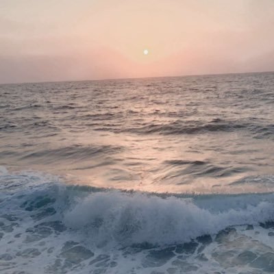 skr_2016's profile picture. 