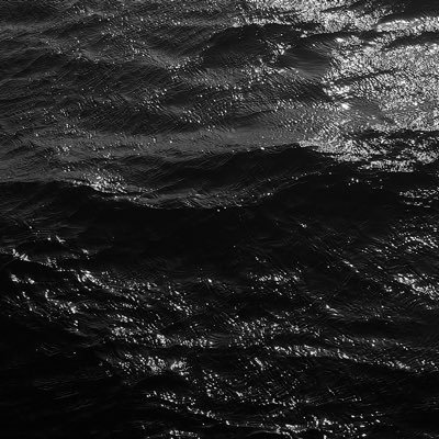 _mms44's profile picture. 