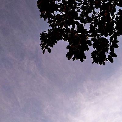 yukiire___'s profile picture. Heyoo