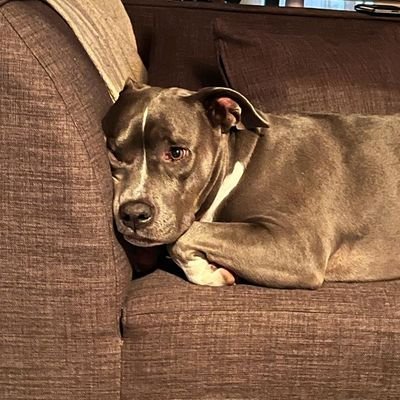 Nucky_real's profile picture. Man United for life!!!