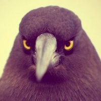 Maxym Grim Poznanski 🇺🇦🇵🇱🇪🇺 (@maximgromkij) 's Twitter Profile
