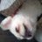 assar_aves's profile image