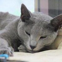 上田ながの (@2dfighter_ueda) 's Twitter Profile