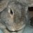 heyroberts1's profile image