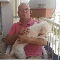 ismettelci (@telciismet) 's Twitter Profile