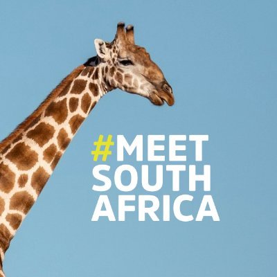 The official Twitter account for South African Tourism in ANZ. We're here to chat weekdays, and some weekends, when we're not watching wildlife docos.