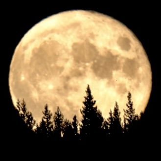 DeepSkyDude's profile picture. Music. Astronomy. Aviation. Check out my music on Spotify!