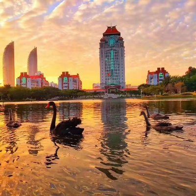 binliu98803150's profile picture. 