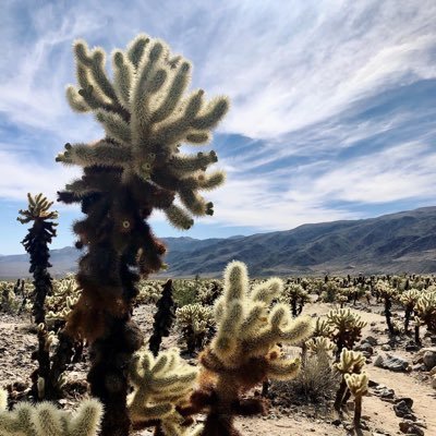 chrisgauv's profile picture. Boston sports. Go Bulls. #pcbb. #WPWstrong