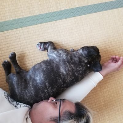 umesan_papa's profile picture. フレンチブルドック | ♀ | 2014年5月10日生まれ | 両目を若年性白内障で手術後に、右目緑内障手術と義眼手術をしました。| 訳合って、別々で生活してます。| うめさんに出逢って犬が好きになりました | 🐶うめさんパパの夢は、犬の預かり施設を作ること👨‍🦳 | #フレブル好き #ワンちゃん好き