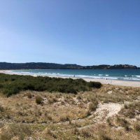 @sageofomaha(NZ) (@sageofomahanz) 's Twitter Profile