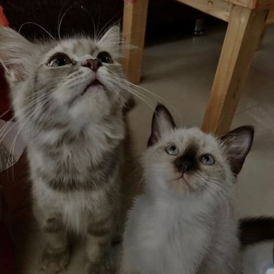 ardhapt's profile picture. 