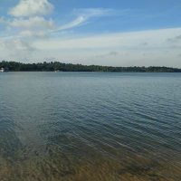 Aquila (@crypto_aquila) 's Twitter Profile