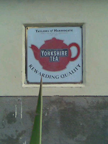 kitesleader's profile picture. 