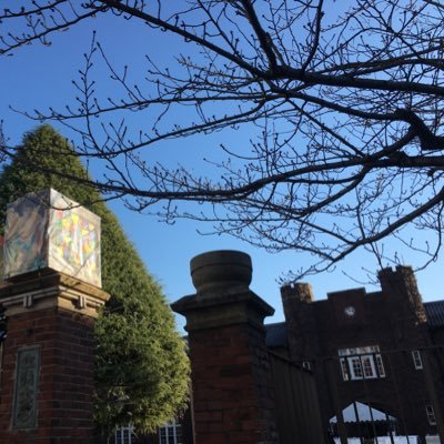 totoro_10157's profile picture. hello☺︎