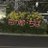 74noGOMBEE