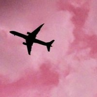 alexndrn420 (@alexndrn420) 's Twitter Profile