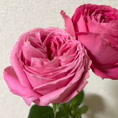 あきらさんのプロフィール画像