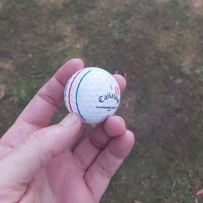 LewisBunt's profile picture. 