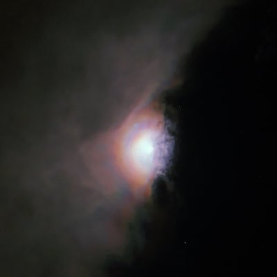 riri98959558's profile picture. 