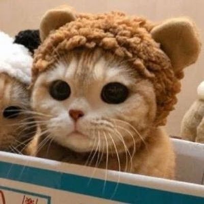 dedededeqqq Profile Picture