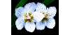 The Life Science Bizz Club is a Group in LinkedIn to promote good-fellowship and social intercourse and a debating society in Life Sciences