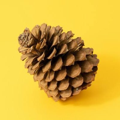 firefeminist1's profile picture. 호주 9년차 🔥 경제적자유 FIRE
🇺🇸📈 미국주식 | ₿ 코인 | 🇦🇺🏡 호주부동산 4채
약혼자랑 멜번 거주중인 레즈비언 🌈💍

블로그: https://t.co/yyxhoMB97K