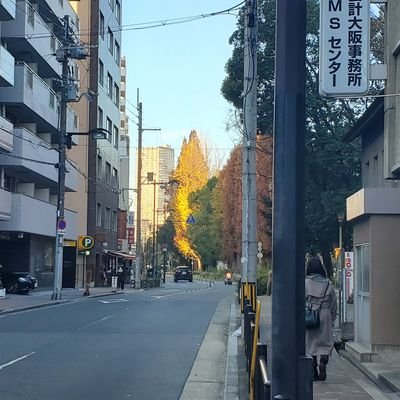 haguhaguke's profile picture. フロントエンドを頑張りたい人/ボードゲームと写真は素敵