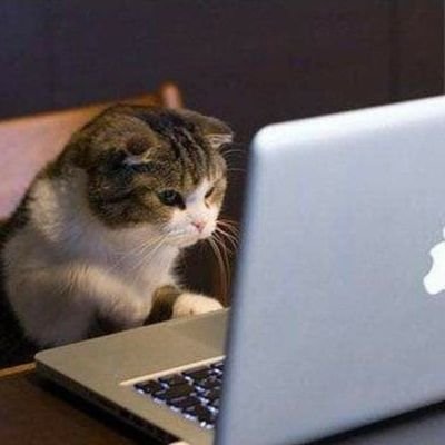 som_codes's profile picture. A web developer in the making
