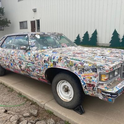 backpackerBPA's profile picture. 