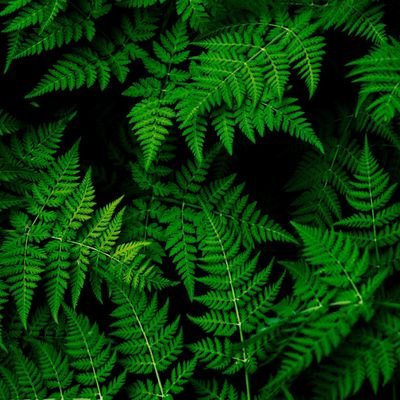 TechCell8080's profile picture. Games