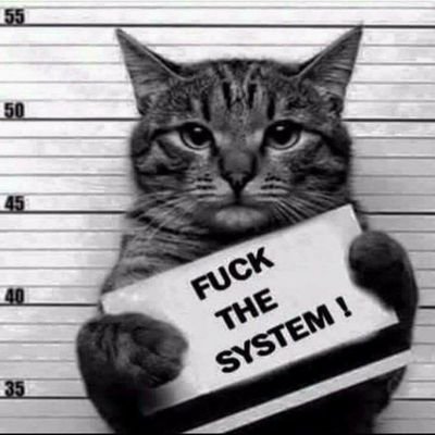 fuck the System