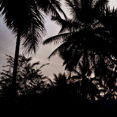 sumedha_hazari's profile picture. :)