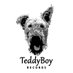 TeddyBoyRecords (@TeddyBoyRecords) Twitter profile photo