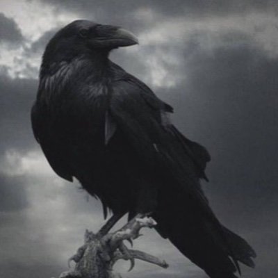 muninn_steel's profile picture. The barber pole is a goal, not a limitation. | Former PHTLS Necromancer | Self defense = human right | PW | Drink water. | KTF