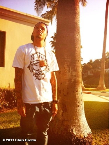 BieberAndBreezy's profile picture. When i listen to Justin Bieber i feel like i am in heaven.
When i listen to Chris Brown its just sex to my ears. 
 †