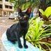 kitty bb (@catphotographr) Twitter profile photo kitty bb (@catphotographr) Twitter profile photo