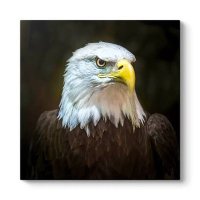 Kartalizma (@gi_de_cek_sin) 's Twitter Profile Photo