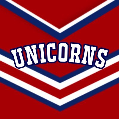 KEIO UNIV. MAJORETTES チアウェア M　即決大歓迎です KEIO UNIV. MAJORETTES チアウェア M 即決大歓迎です