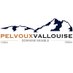 Pelvoux Vallouise Domaine Skiable (@StationPelvoux) Twitter profile photo