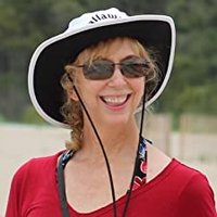 Andrea Clark, author(@ClarkNovels) 's Twitter Profile Photo