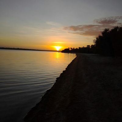 PedroCEducador's profile picture. Educação Física _ P2.