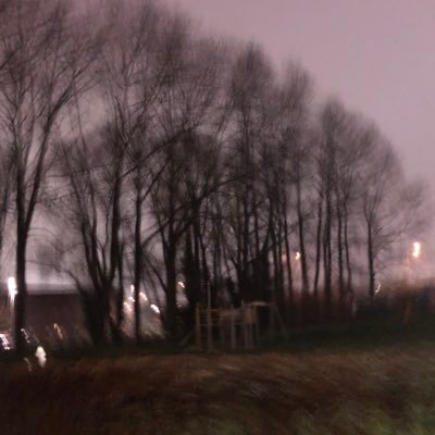 Safu44406502's profile picture. deobi 🎄