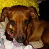jcoplen1855's profile picture. Love USA! MAGA! Donald J Trump is my President!👏🇺🇸 Happily married.