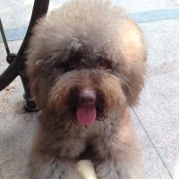 Rainny (@rainny97671140) 's Twitter Profile
