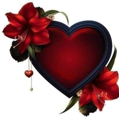 DyaalrhmnM's profile picture. اسلام علیکم