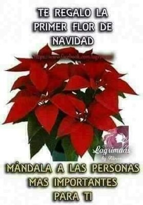 MariaIs87320657's profile picture. 